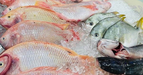 How long can frozen meat, fish and seafood be stored?