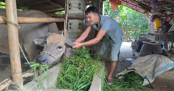 De nombreux projets divers de réduction de la pauvreté à Phu Luong, créant des moyens de subsistance pour aider les gens à échapper à la pauvreté