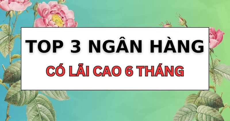 ការដាក់ប្រាក់សន្សំរយៈពេល 6 ខែ ធនាគារកំពូលទាំង 3 ដែលមានអត្រាការប្រាក់ខ្ពស់បំផុតក្នុងខែកុម្ភៈ