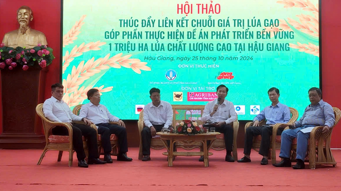 De an 1 trieu ha lua chat luong cao nang suat, loi nhuan tang nong dan se theo hinh anh 1