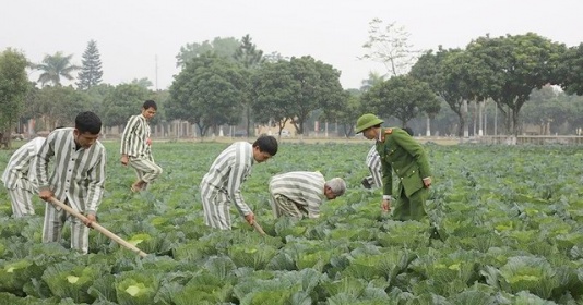 Quảng Nam triển khai chính sách cho vay đối với người chấp hành xong án phạt tù