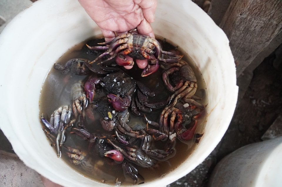 Good fish sauce is when the crab is cooked but still firm and has all the claws.