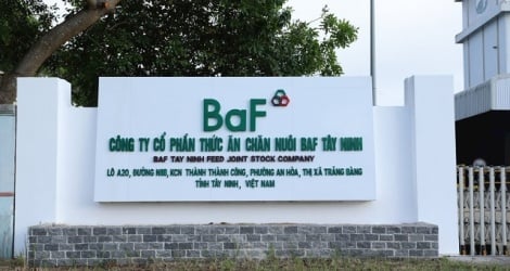 BaF Vietnam получает перевод 40% капитала в Green Forest Production