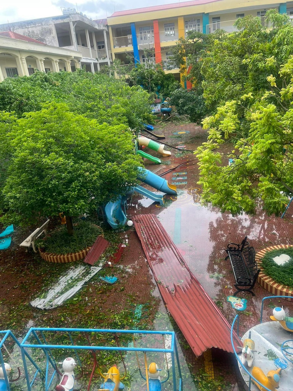 Le système d'arbres verts de l'école maternelle Sao Sang 3 est tombé. Photo : Vinh Quan