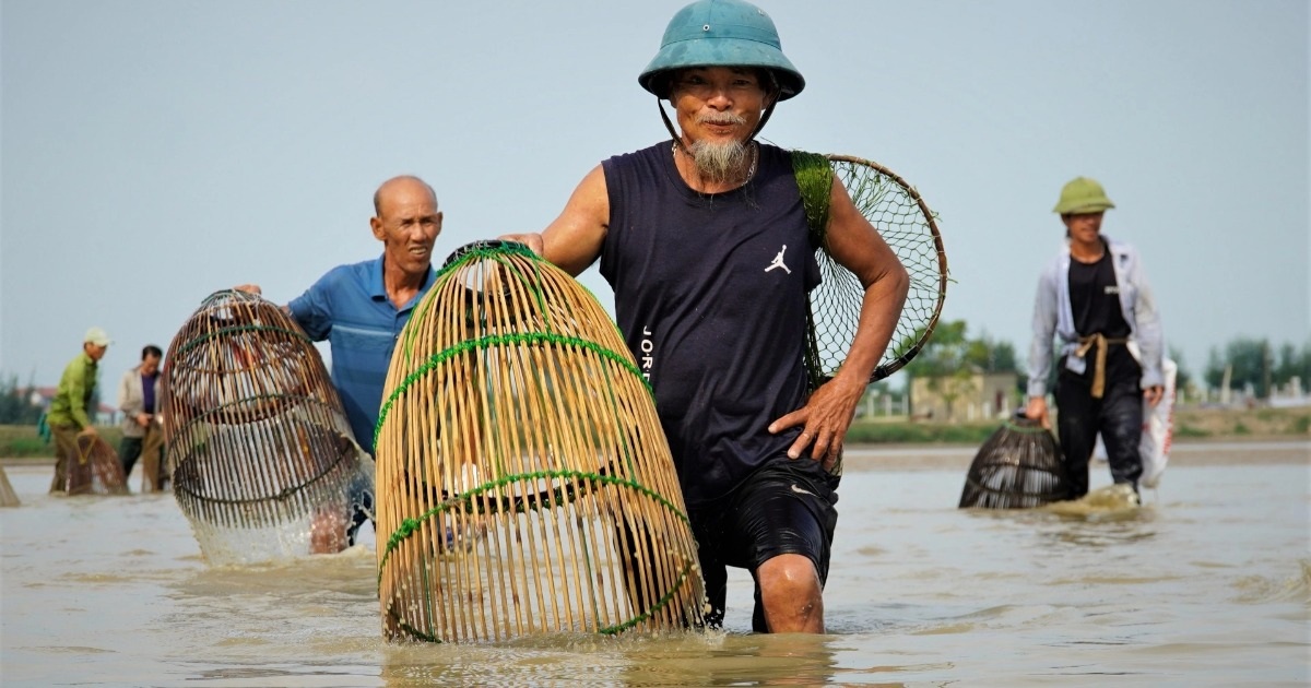 魚釣り競争のチケットを買うために人々が群がり、湖の所有者は1000万ドン近く稼ぐ