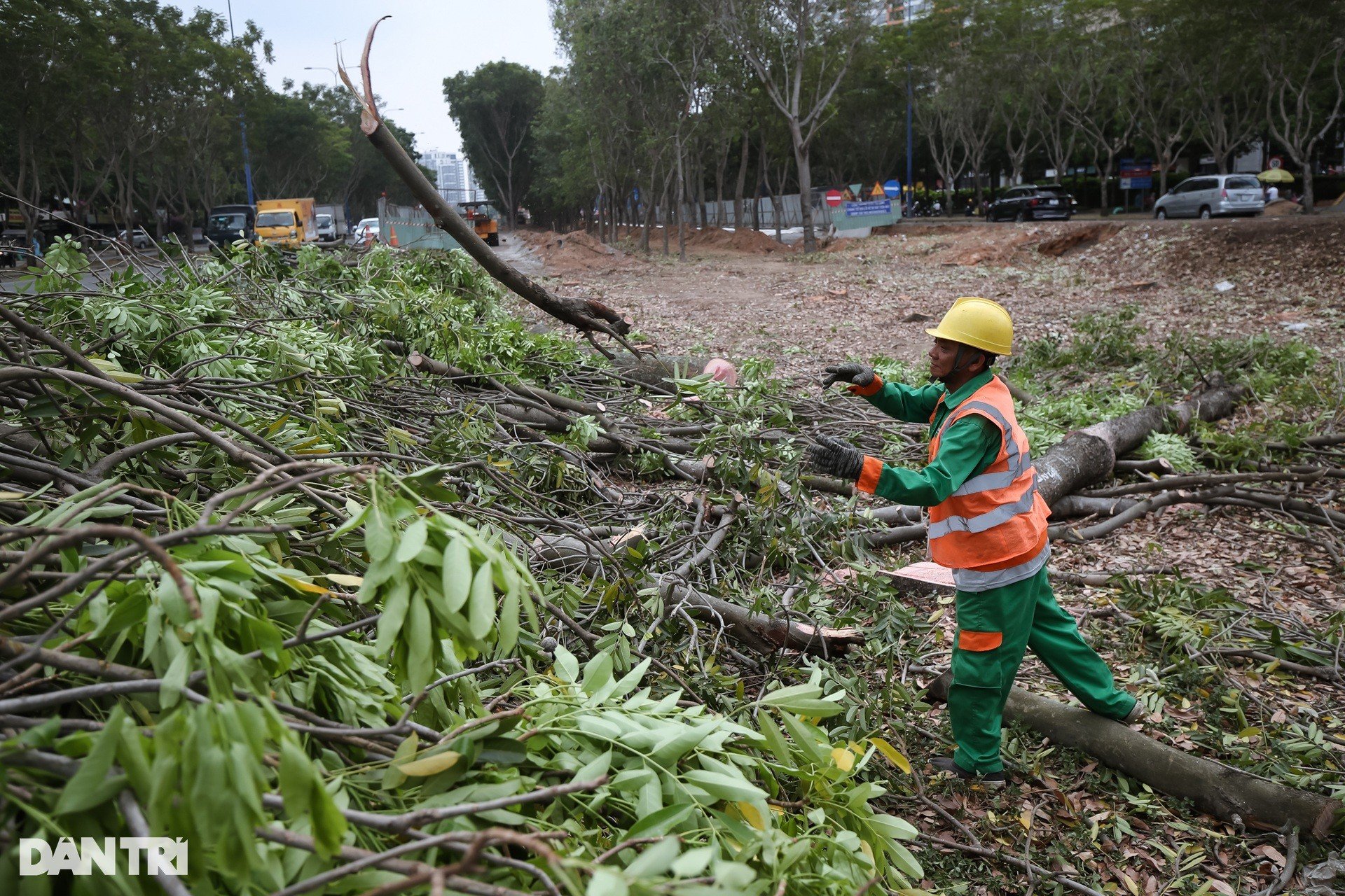 Des centaines d'arbres ont été déplacés pour construire la plus grande intersection de Ho Chi Minh-Ville, photo 9