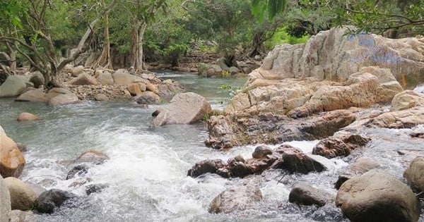 La baie nommée Vinh Hy Bay à Ninh Thuan est aussi belle qu'un film, soudain un ruisseau frais coule de la jungle.