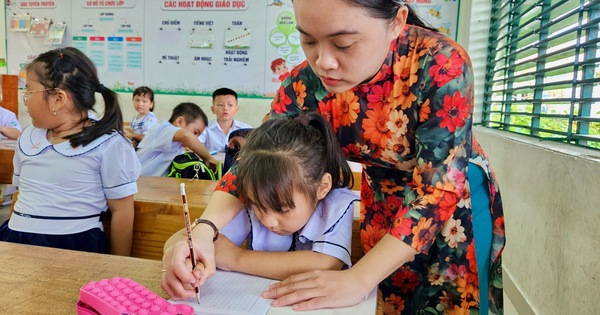 Matrícula de primer grado en Nha Trang: no se puede estudiar en escuelas cercanas, hay que estudiar en escuelas lejanas