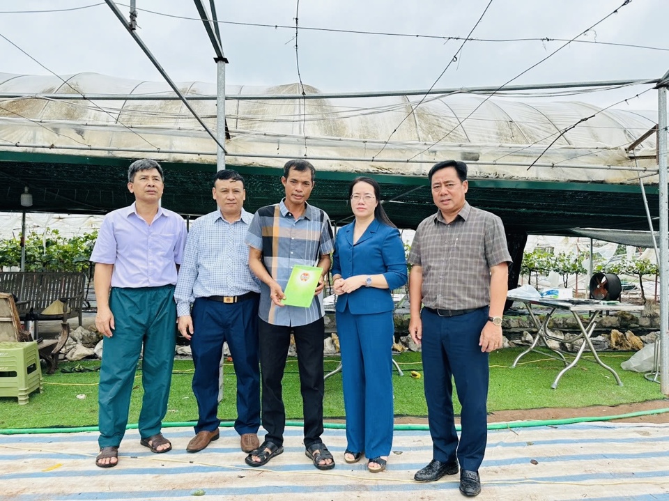 El presidente de la Asociación de Agricultores de Hanoi, Pham Hai Hoa, visitó y animó a la familia del Sr. Nguyen Huu Hoi en la comuna de Dan Phuong, distrito de Dan Phuong.