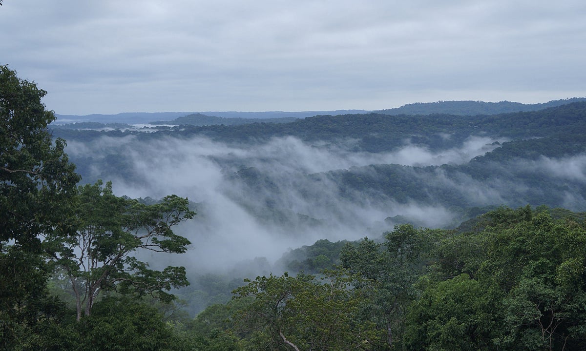 48 hours in Binh Phuoc