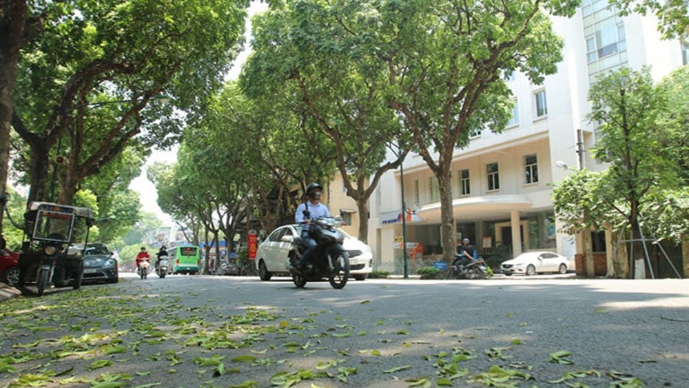 From June 13, the heat in the North will gradually decrease |=> Posted in Bac Giang newspaper