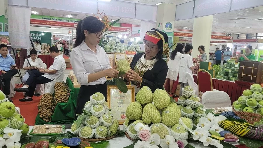 Nhiều sản phẩm OCOP, đặc sản tiêu biểu các vùng miền được giới thiệu tại Lễ hội mua sắm năm 2024