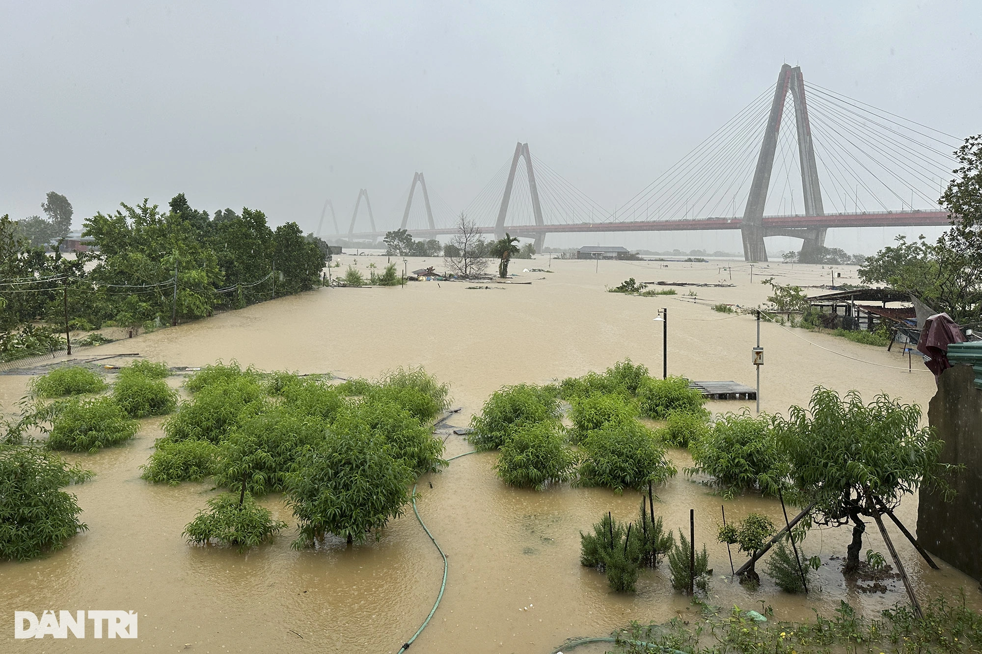 La inundación del río Rojo supera el nivel de alerta 2 y sumerge el área de excavación de Phu Thuong