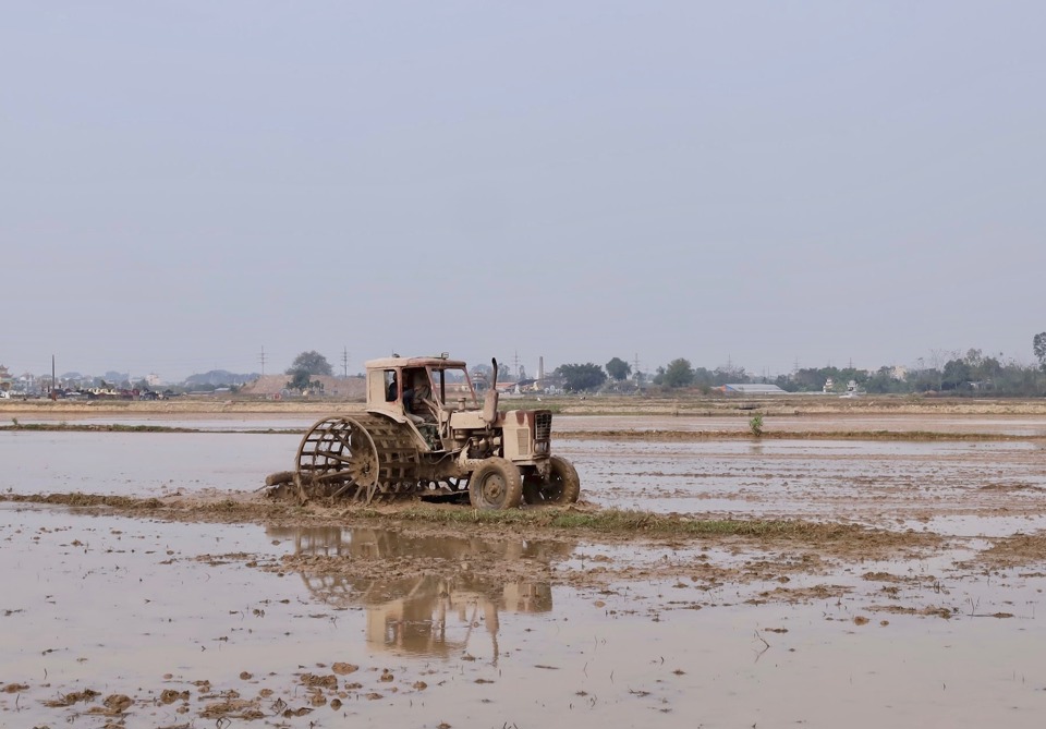 Les agriculteurs du district d'Ung Hoa se sont rendus activement dans les champs pour chercher de l'eau et inonder les champs.