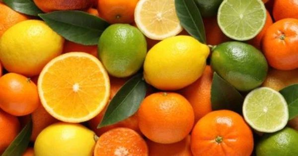 Citrus fruits have many health benefits.