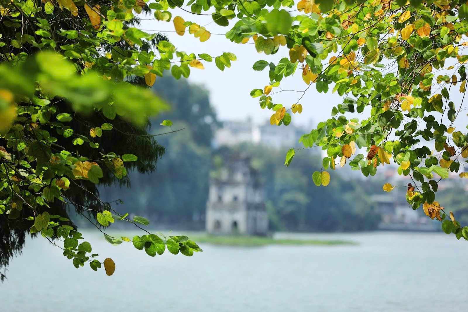 Autumn - the most beautiful season of the year in Hanoi