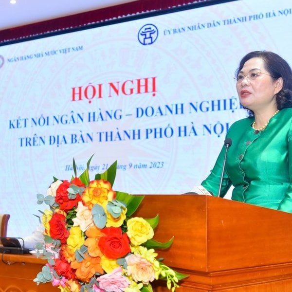 Khả năng hấp thụ vốn của doanh nghiệp còn thấp