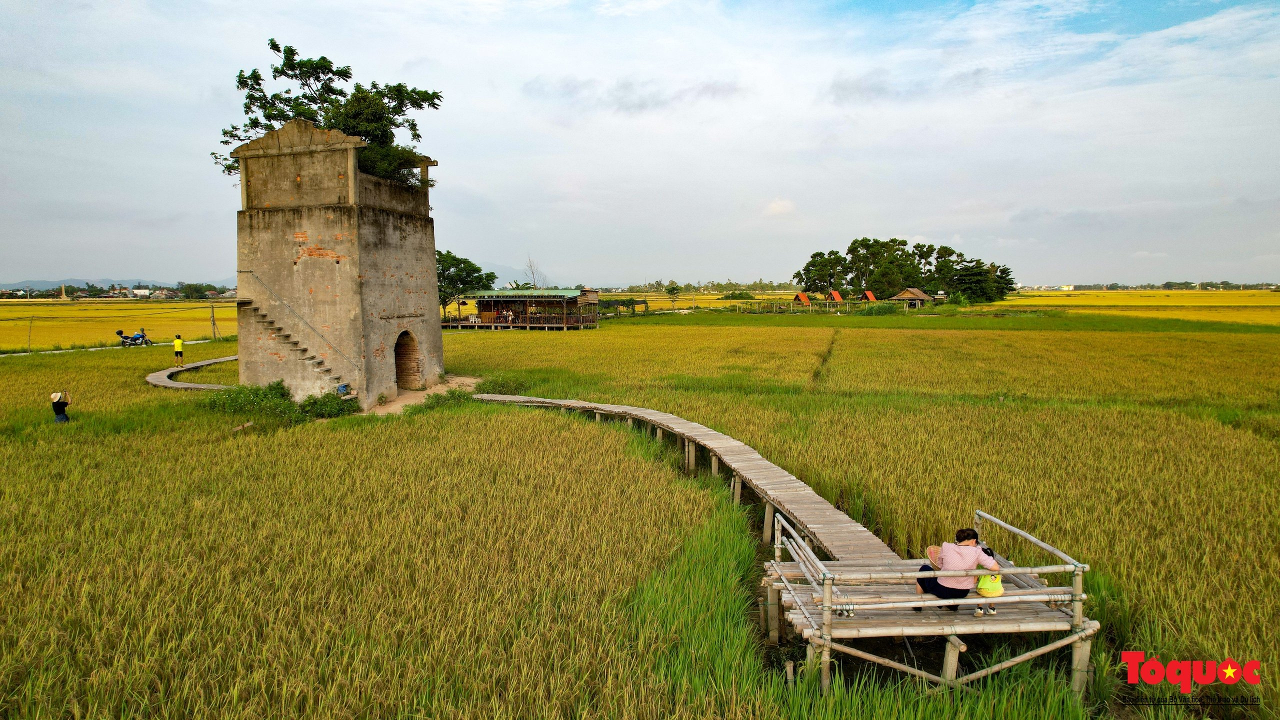 Giới trẻ 