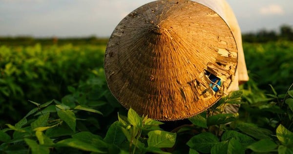 Наши бабушки и дедушки применяли STEM с древних времен!