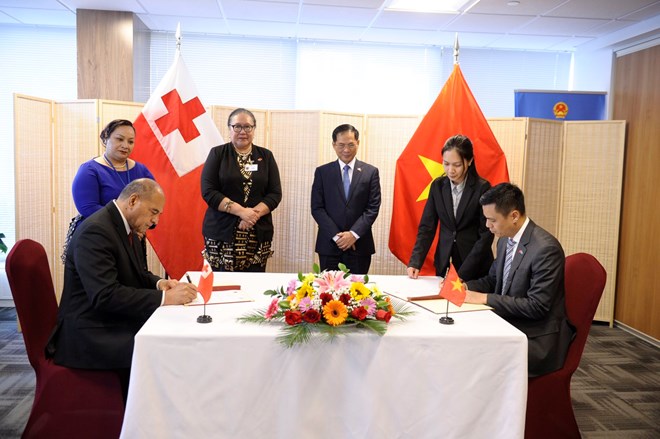 Vietnam establishes diplomatic relations with the 193rd country