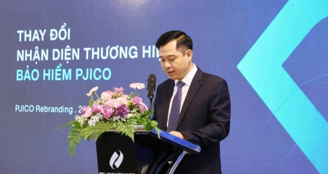 PJICO sắp “thay áo mới”, trả cổ tức năm 2023 bằng tiền, tỷ lệ 12%