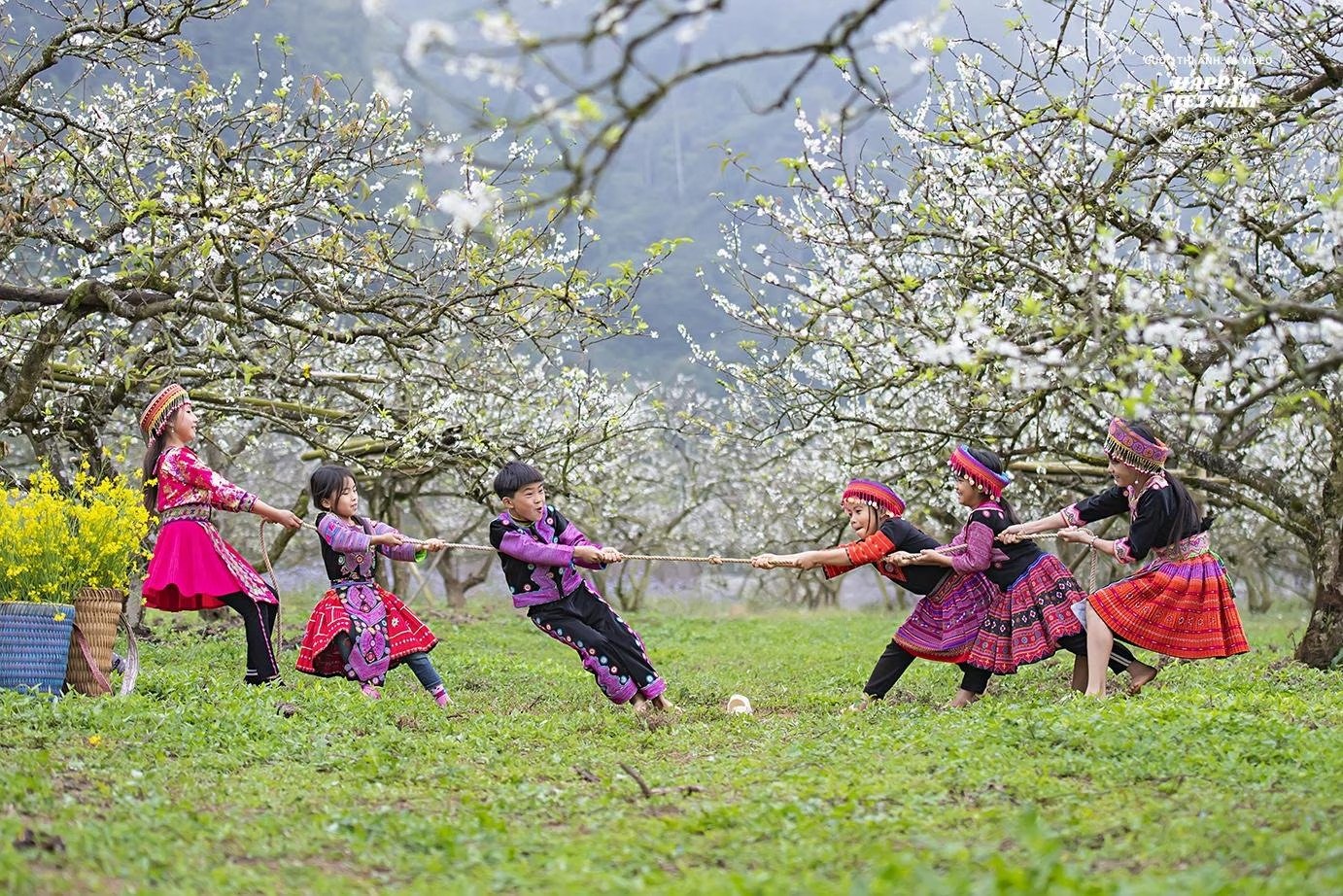 L'innocence des enfants des hautes terres