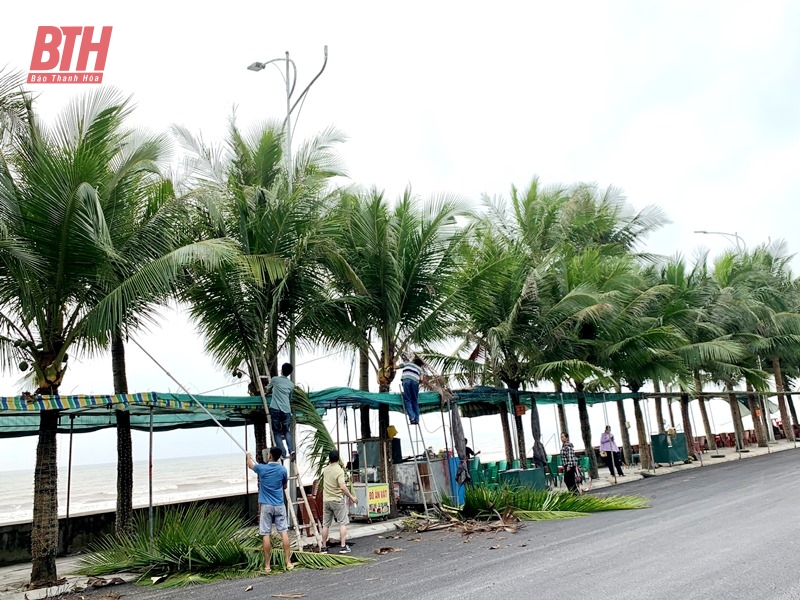 Hoang Hoa: Launching a campaign to clean up the environment of Hai Tien beach