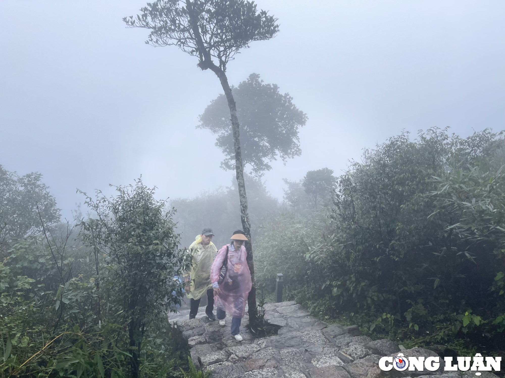 Touristen erobern die Thuong-Pagode in Tay Yen Tu, Bild 19