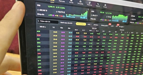 Stocks expected to rise sharply in the week before Tet