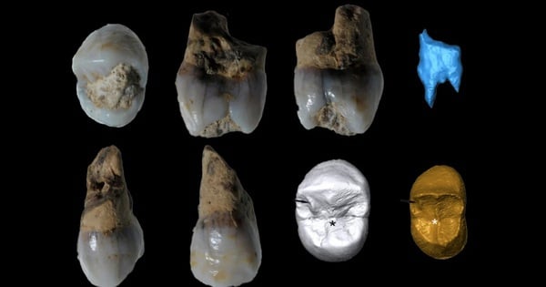 Descubren dientes de tres personas que no son de nuestra especie