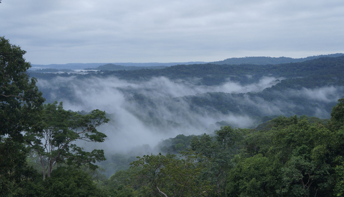 View from the highest point of Bu Gia Map National Park. Photo: Nguyen Nam