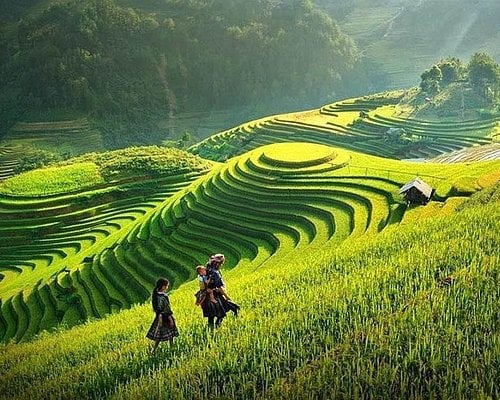 Sapa wird von vielen Touristen als Sommerreiseziel gewählt. Foto: Internet.