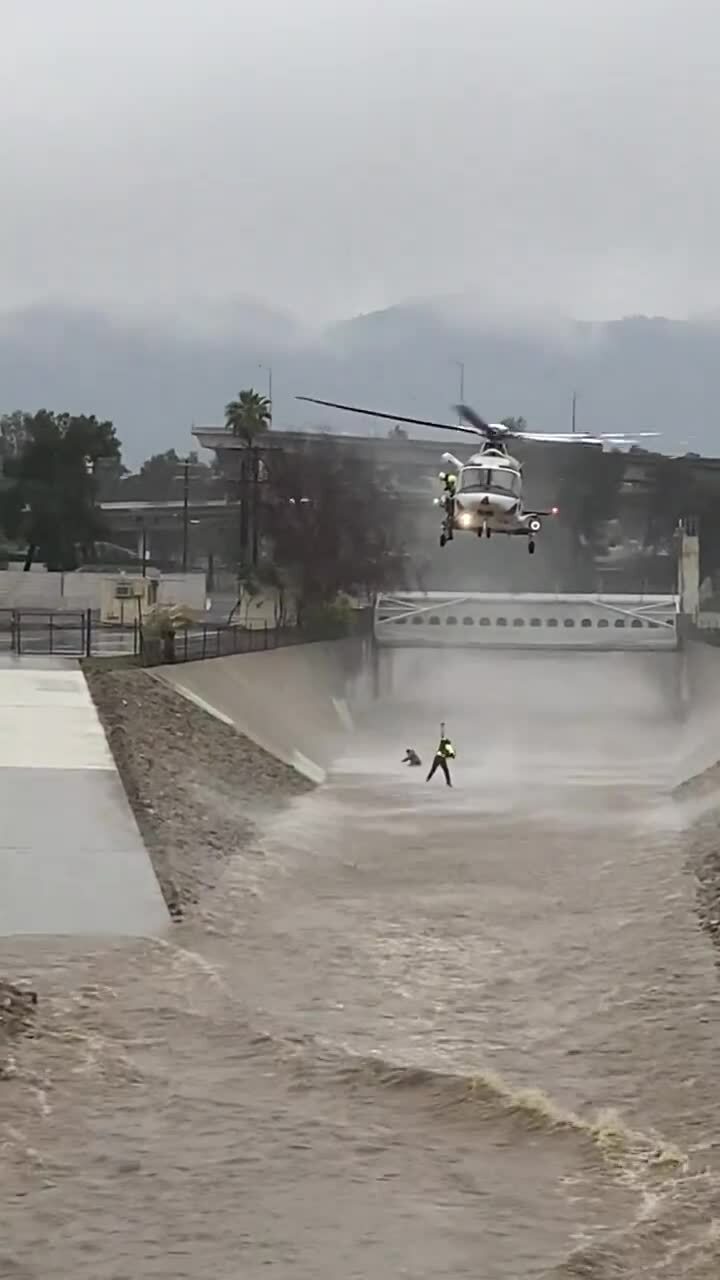 Saltó al río caudaloso para salvar a su perro.