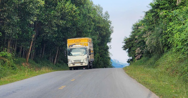 Which district roads in Quang Ngai have just been upgraded to provincial roads?