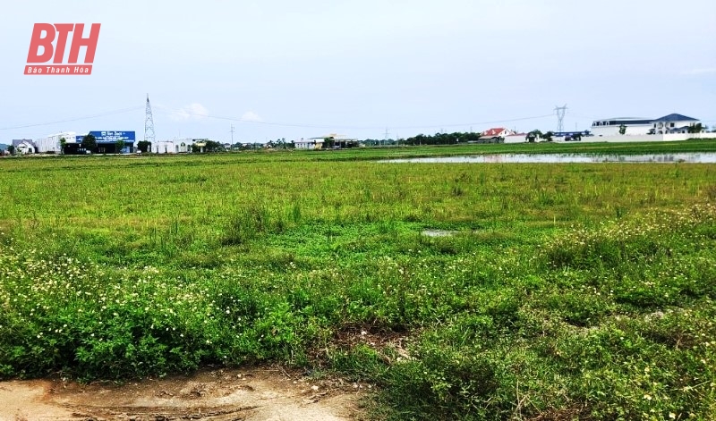 Yen Dinh៖ នឹងបង្ខំយកដីពី 28 គ្រួសារ និងបុគ្គលដែលមិនគោរពតាមសេចក្តីសម្រេចរបស់រដ្ឋ