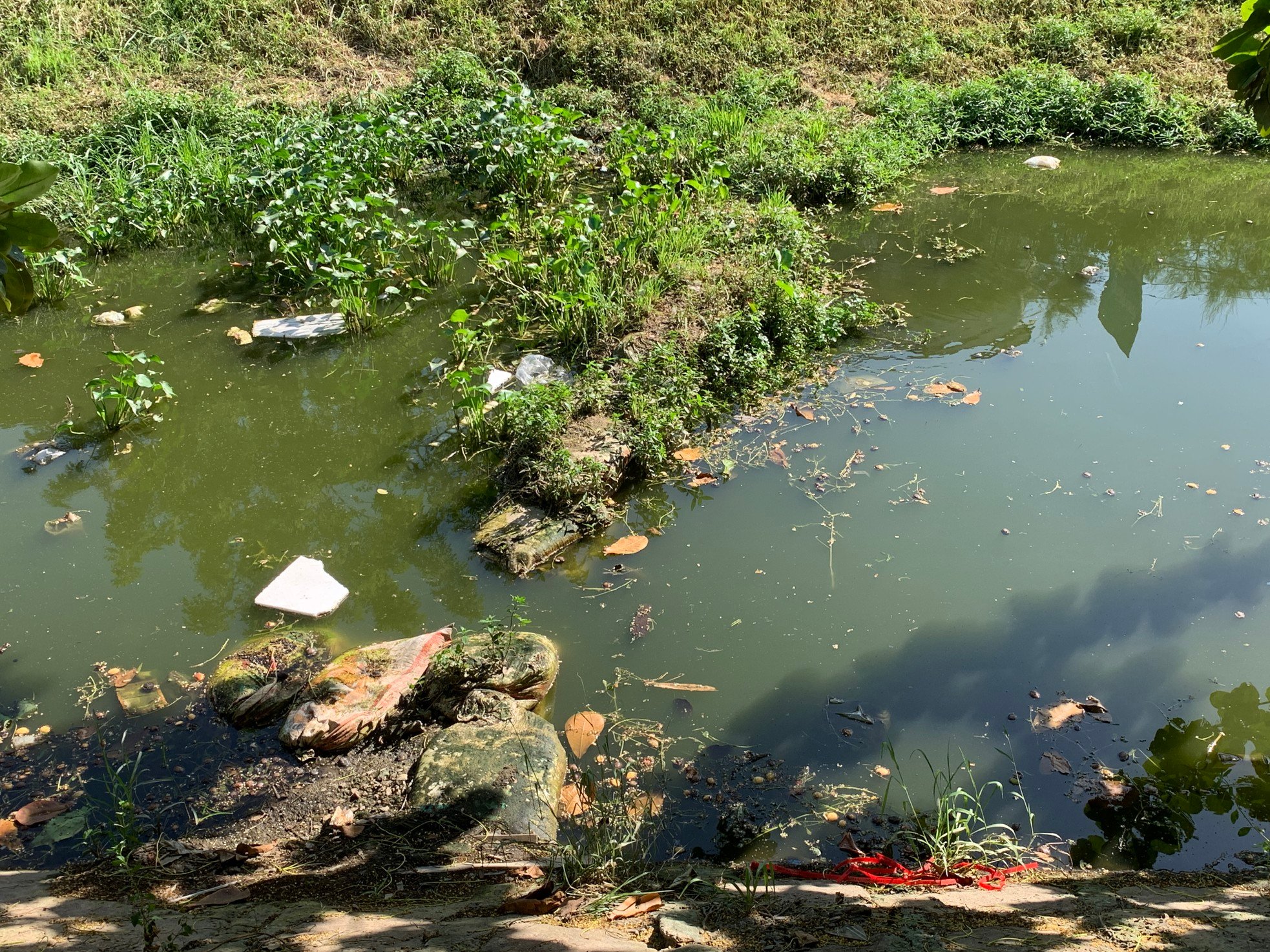 Polluting open canal in Da Nang invested more than 105 billion VND to build park photo 3