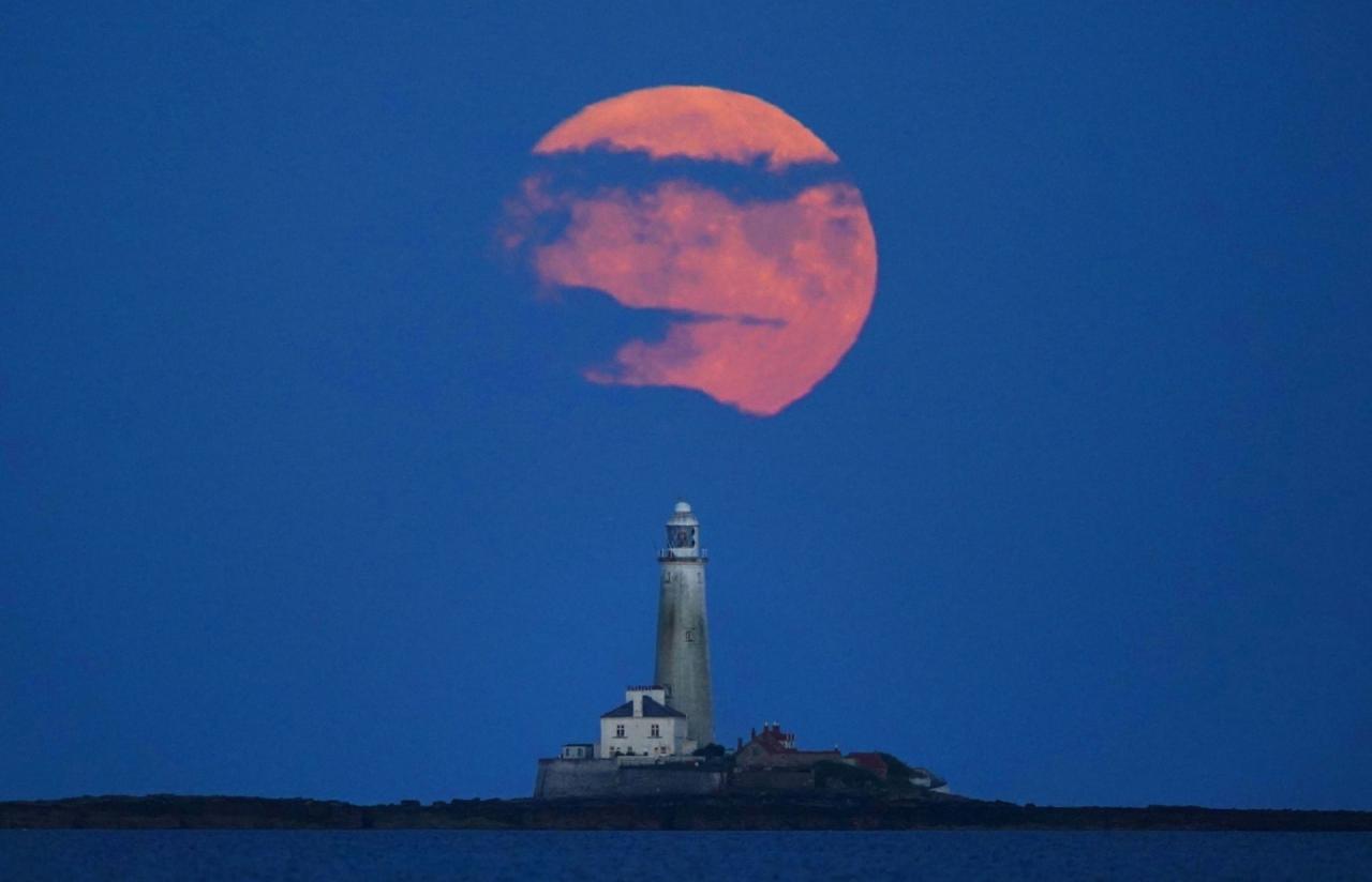 [Photo] Admirez la première super lune de 2023 photo 10