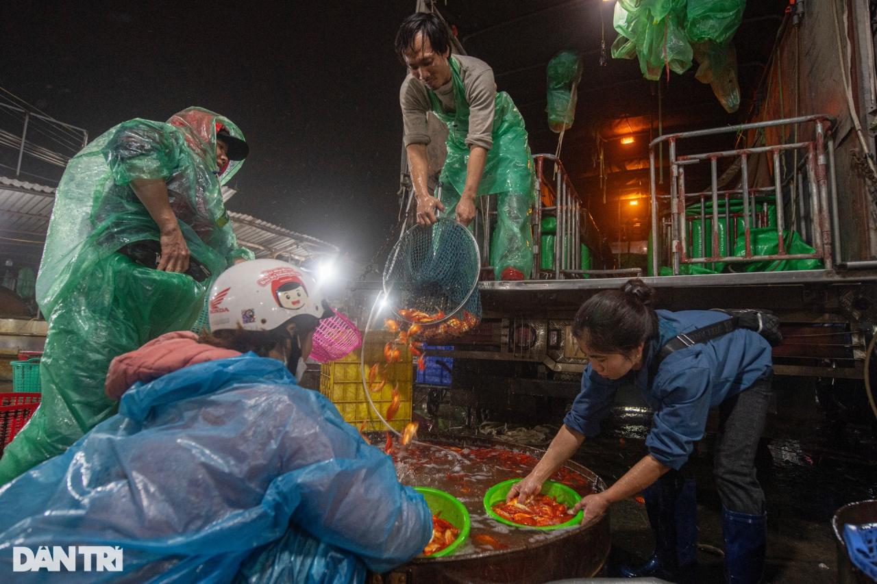 Chợ cá lớn nhất Hà Nội tấp nập, tiểu thương vẫn lo vì cá chép đỏ rớt giá - 13