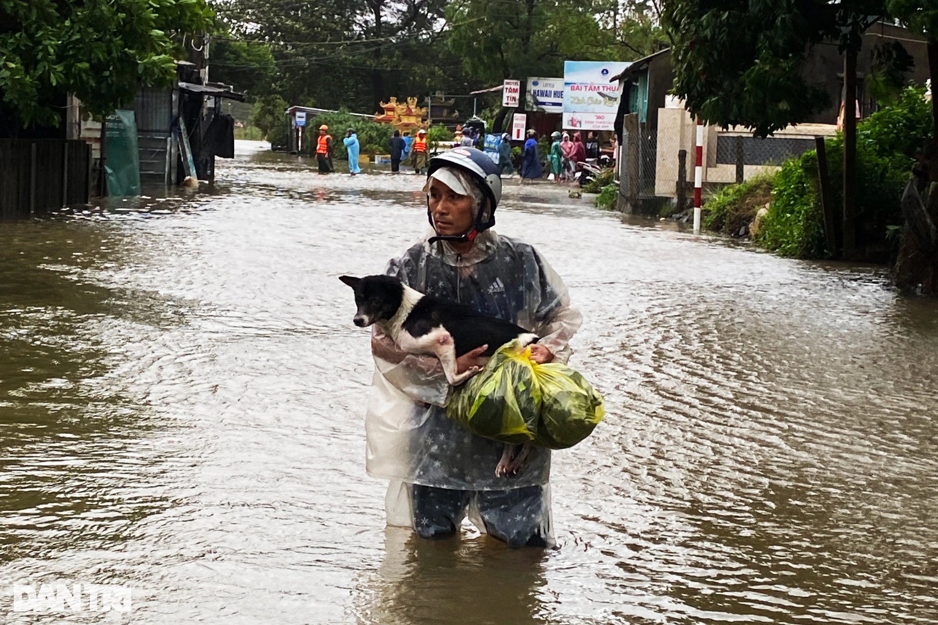 L'eau de mer déborde des rives provoquant des inondations, les habitants de Hué serrent leurs animaux de compagnie dans leurs bras et se précipitent pour échapper à l'inondation