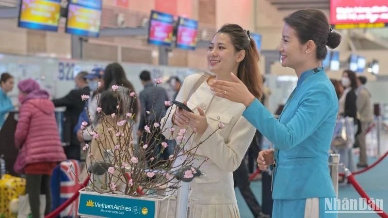 Vietnam Airlines Group adds more than 650,000 seats for Tet holiday