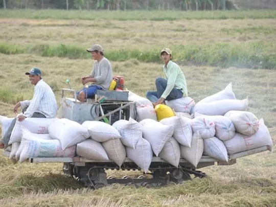 Vietnam spends 1 billion USD importing rice - normal or unusual?