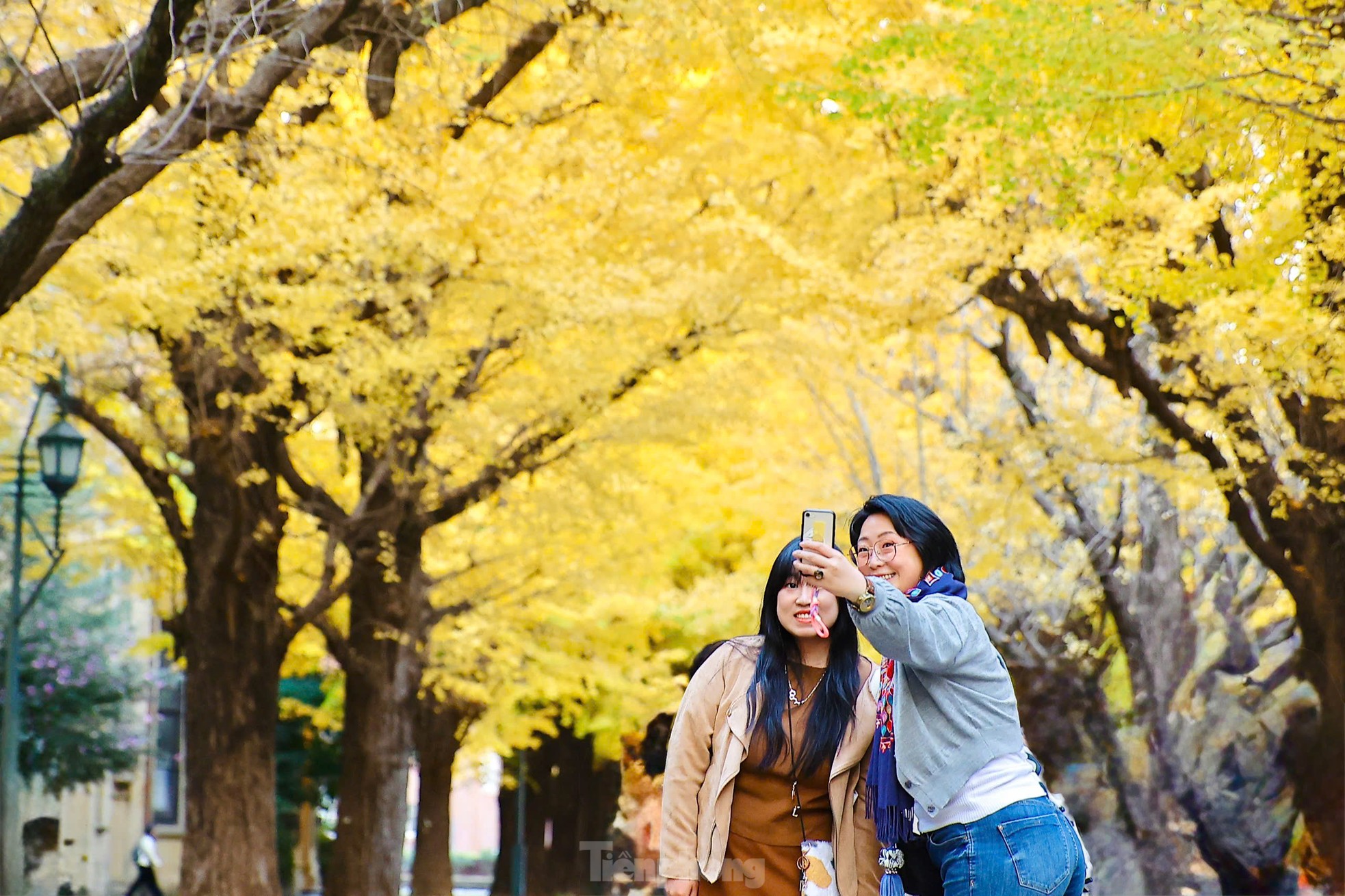 Fasziniert von der Herbstlandschaft mit roten und gelben Blättern in Japan Foto 27