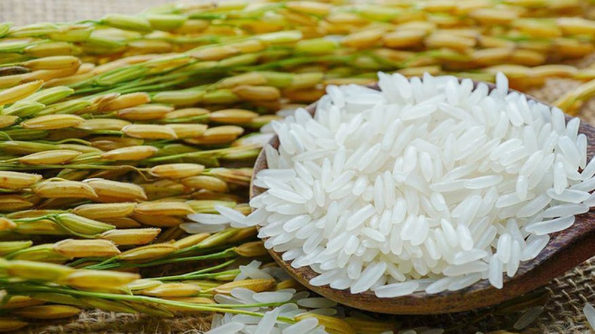 Vietnamese rice on the peak of history