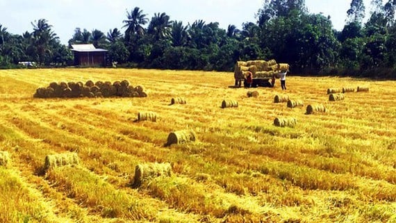 Mỗi năm có hơn 150.000 tấn phụ phẩm cần được "quay vòng"