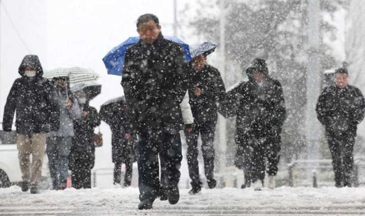 11月27日、韓国ソウルの瑞草区で大雪の下を歩く人々。 （写真：聯合ニュース）