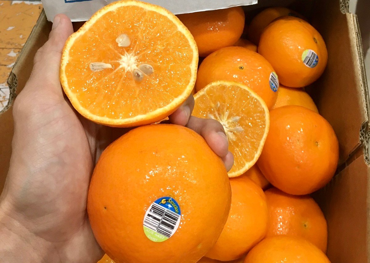 Australian tangerines to Vietnam at super cheap prices