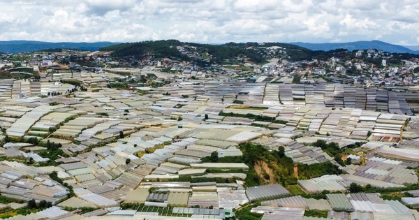 Le tourisme à Lam Dong répond au changement climatique