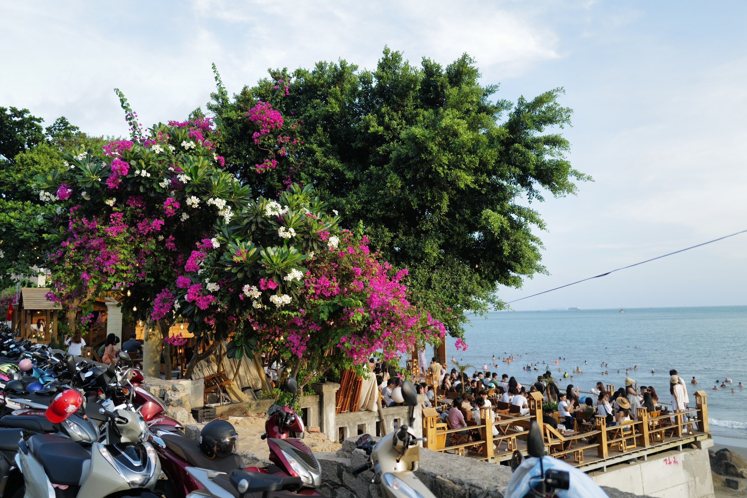 du lich vung tau,  ca phe vung tau, ca phe view bien,  ca phe bai dau,  quan ca anh 2