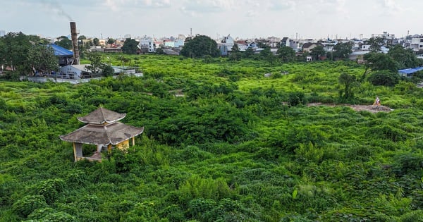 The land at Binh Hung Hoa cemetery will build a school, what is it like now?