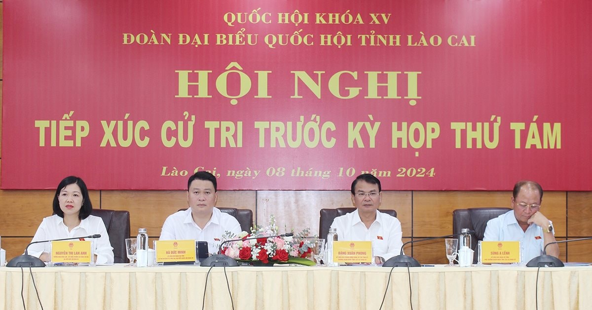 Cử tri quan tâm đặc biệt tới lĩnh vực Tài nguyên và môi trường